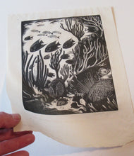 Load image into Gallery viewer, Robert Gibbings Wood Engraving Blue Angel Fish and Coral
