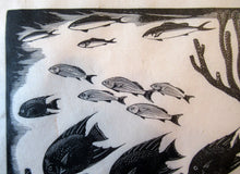 Load image into Gallery viewer, Robert Gibbings Wood Engraving Blue Angel Fish and Coral
