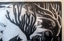 Load image into Gallery viewer, Robert Gibbings Wood Engraving Blue Angel Fish and Coral

