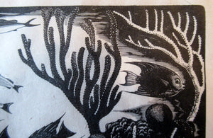 Robert Gibbings Wood Engraving Blue Angel Fish and Coral