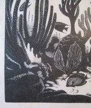 Load image into Gallery viewer, Robert Gibbings Wood Engraving Blue Angel Fish and Coral

