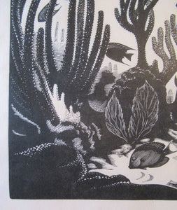 Robert Gibbings Wood Engraving Blue Angel Fish and Coral
