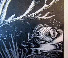 Load image into Gallery viewer, Robert Gibbings Wood Engraving Blue Angel Fish and Coral
