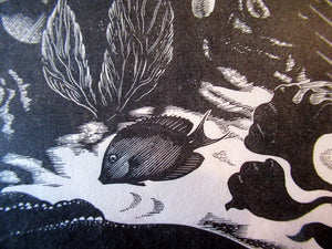 Robert Gibbings Wood Engraving Blue Angel Fish and Coral