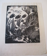 Load image into Gallery viewer, Robert Gibbings Wood Engraving Blue Angel Fish and Coral
