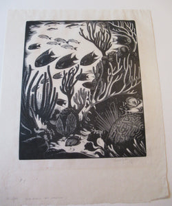 Robert Gibbings Wood Engraving Blue Angel Fish and Coral