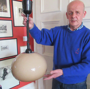 1970s Guzzini Era Rise and Fall Mushroom Plastic Lamp Shade