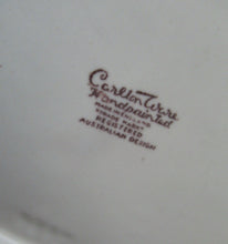 Load image into Gallery viewer, Carlton Ware Medium Plates 1950s Brown Windswept Pattern
