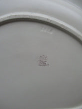 Load image into Gallery viewer, Carlton Ware Windswept Large Plate 1950s Australian Design

