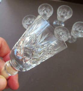 Set of Six Edinburgh Crystal Glenshee Sherry Glasses Vintage 1960s
