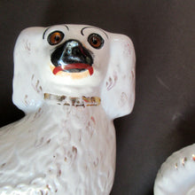Load image into Gallery viewer, Victorian Antique Staffordshire Chimney Spaniels or Wally Dugs. 1880s PAIR
