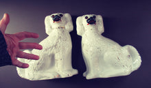 Load image into Gallery viewer, Victorian Antique Staffordshire Chimney Spaniels or Wally Dugs. 1880s PAIR
