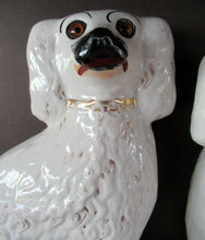 Load image into Gallery viewer, Victorian Antique Staffordshire Chimney Spaniels or Wally Dugs. 1880s PAIR
