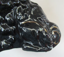 Load image into Gallery viewer, Antique BO&#39;NESS POTTERY Black Jackfield Style Spaniels
