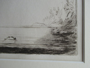 Eileen Soper Drypoint Etching The Stray Cat Signed in Pencil