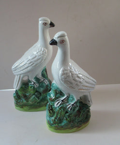 1870s Pair of White Bird Staffordshire Flatback Figurines Antique