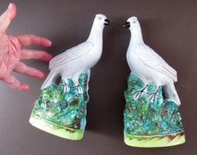 Load image into Gallery viewer, 1870s Pair of White Bird Staffordshire Flatback Figurines Antique
