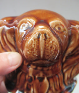 Antique Staffordshire Spaniel's Head Money Box or Saving Bank. Treacle Glaze