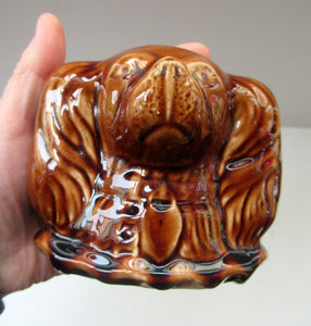 Antique Staffordshire Spaniel's Head Money Box or Saving Bank. Treacle Glaze