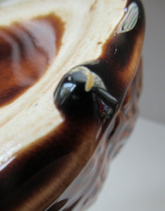 Antique Staffordshire Spaniel's Head Money Box or Saving Bank. Treacle Glaze