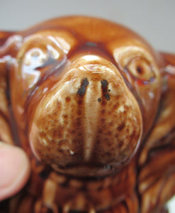 Antique Staffordshire Spaniel's Head Money Box or Saving Bank. Treacle Glaze