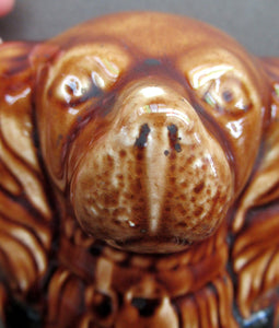 Antique Staffordshire Spaniel's Head Money Box or Saving Bank. Treacle Glaze