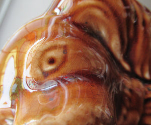 Antique Staffordshire Spaniel's Head Money Box or Saving Bank. Treacle Glaze