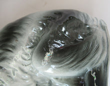 Load image into Gallery viewer, Antique Scottish Pottery Bo&#39;ness Pottery Cats PAIR
