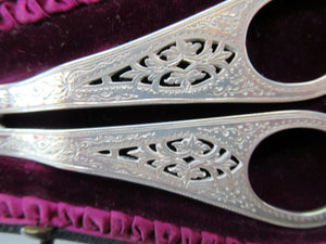  Victorian SOLID SILVER Grape Scissors  in Fitted Leather Case