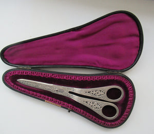  Victorian SOLID SILVER Grape Scissors  in Fitted Leather Case