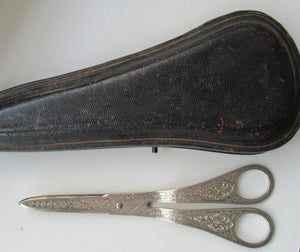  Victorian SOLID SILVER Grape Scissors  in Fitted Leather Case