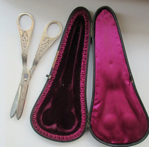  Victorian SOLID SILVER Grape Scissors  in Fitted Leather Case