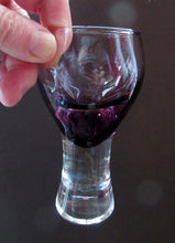Load image into Gallery viewer, Six Purple or Heather Coloured Canisbay Glasses

