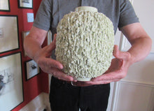 Load image into Gallery viewer, 1930s Gunnar Nylund for Rostrand Chamotte (Hedgehog) Vase. White
