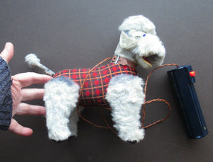 1950s Japanese French Poodle Battery Operated Toy Dog