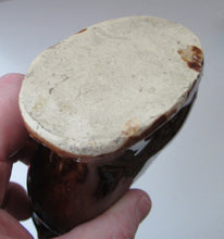 Load image into Gallery viewer, Antique Pottery Money Bank Box in the Shape of a Cat. Treacle Glaze
