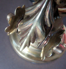 Load image into Gallery viewer, Antique Dugdills Art Nouveau Flower Desk Lamp with Antique Vaseline Shade
