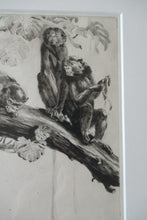 Load image into Gallery viewer, 1920s Etching Revival Drypoint by Leonard Robert Brightwell. Monkeys. The Social Climber
