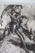 Load image into Gallery viewer, 1920s Etching Revival Drypoint by Leonard Robert Brightwell. Monkeys. The Social Climber
