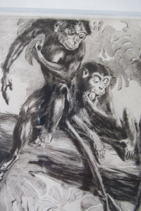 1920s Etching Revival Drypoint by Leonard Robert Brightwell. Monkeys. The Social Climber