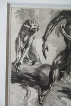 Load image into Gallery viewer, 1920s Etching Revival Drypoint by Leonard Robert Brightwell. Monkeys. The Social Climber
