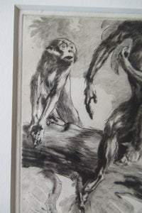 1920s Etching Revival Drypoint by Leonard Robert Brightwell. Monkeys. The Social Climber