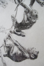 Load image into Gallery viewer, 1920s Etching Revival Drypoint by Leonard Robert Brightwell. Monkeys. The Social Climber
