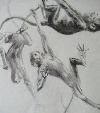 Load image into Gallery viewer, 1920s Etching Revival Drypoint by Leonard Robert Brightwell. Monkeys. The Social Climber
