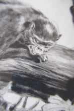 Load image into Gallery viewer, 1920s Etching Revival Drypoint by Leonard Robert Brightwell. Monkeys. The Social Climber
