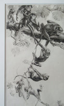 Load image into Gallery viewer, 1920s Etching Revival Drypoint by Leonard Robert Brightwell. Monkeys. The Social Climber
