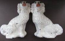 Load image into Gallery viewer, Antique Staffordshire Dogs Chimney Spaniels 1880s
