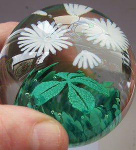 Scottish Caithness Glass Paperweight: Wildflower Collection Issue 2006 Daisies