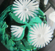 Load image into Gallery viewer, Scottish Caithness Glass Paperweight: Wildflower Collection Issue 2006 Daisies
