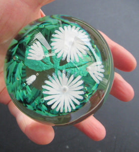 Scottish Caithness Glass Paperweight: Wildflower Collection Issue 2006 Daisies